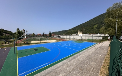 BOROVNICA
